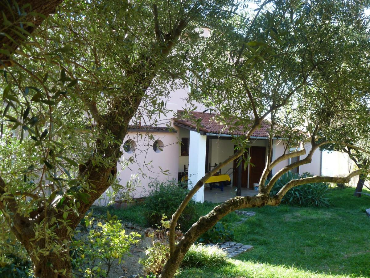 Casa Puccini B&B Maratea Exterior foto